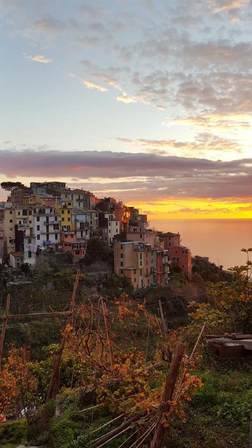 Terre Apartment Corniglia Ngoại thất bức ảnh
